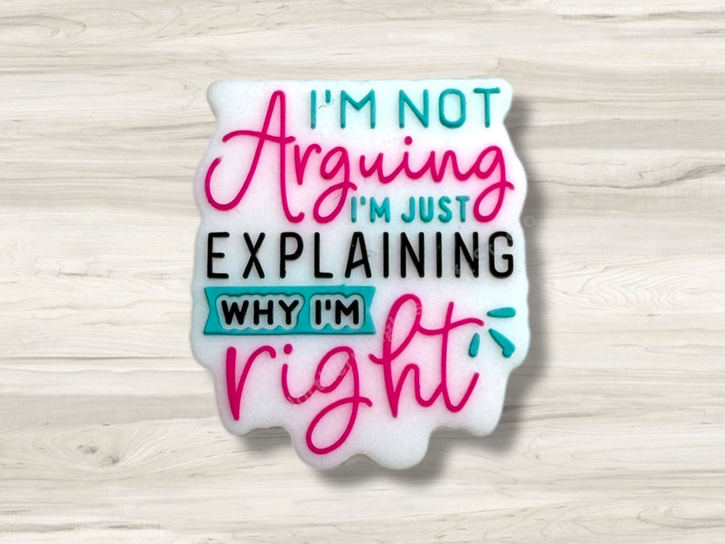 I'm Not Arguing, I'm Just Explaining Why I'm Right Focal Bead