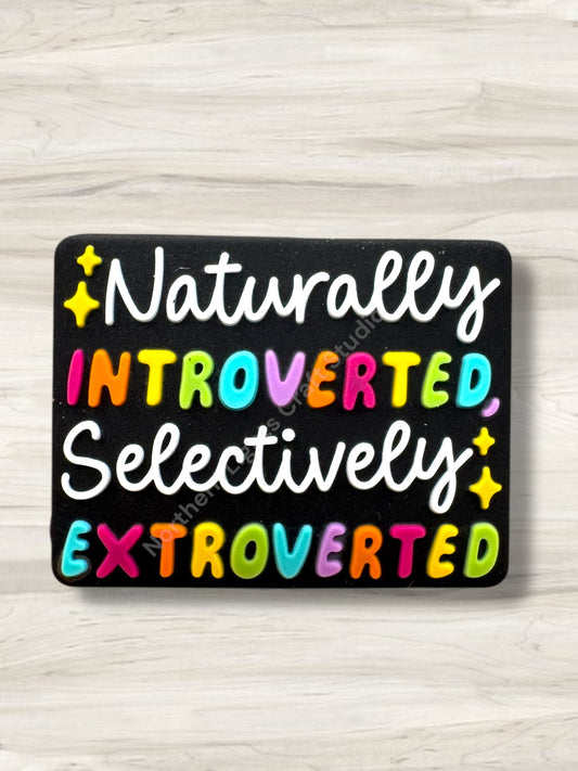 Naturally Introverted Selectively Extroverted Silicone Focal Bead