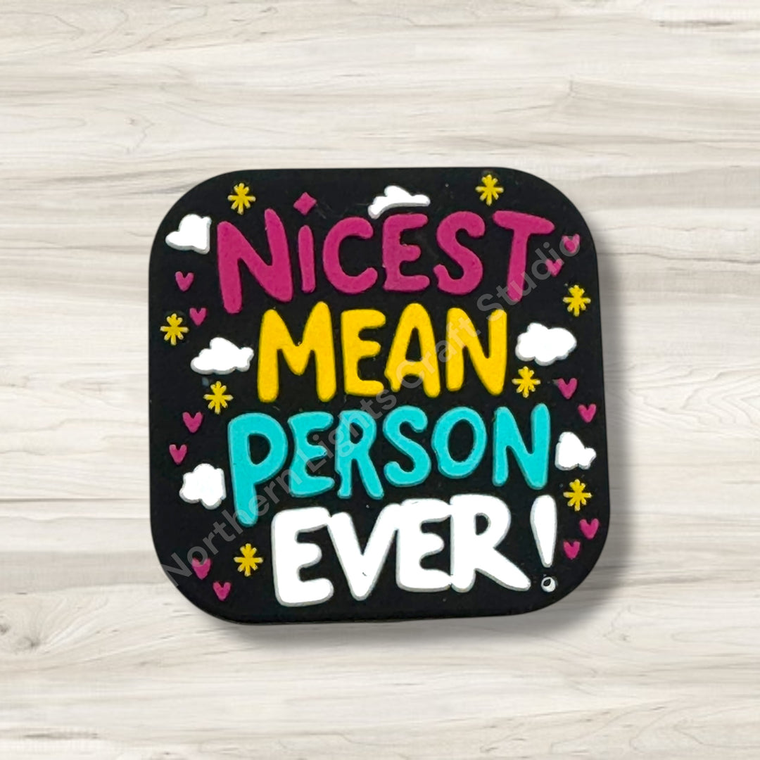 Nicest Mean Person Ever Focal, Sarcastic Focal, Witty Focal, Sarcasm Bead, Sarcastic Focal for Beaded Pens