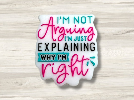 I'm Not Arguing, I'm Just Explaining Why I'm Right Focal Bead