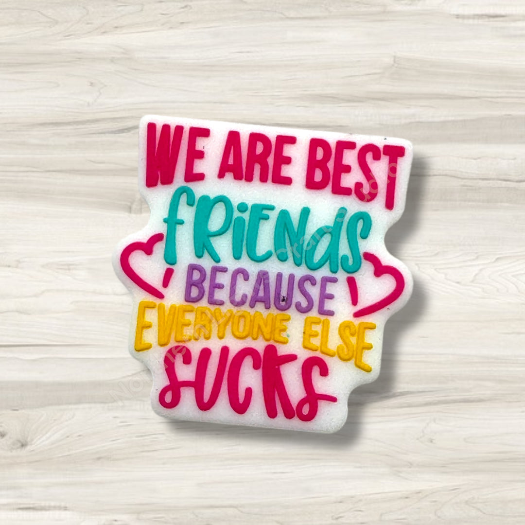 We are Best Friends Because Everybody Else Sucks Silicone Focal, Besties Focal, Best Friend Focal, Friends Focal
