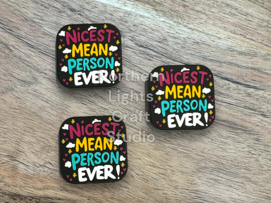 Nicest Mean Person Ever Focal, Sarcastic Focal, Witty Focal, Sarcasm Bead, Sarcastic Focal for Beaded Pens
